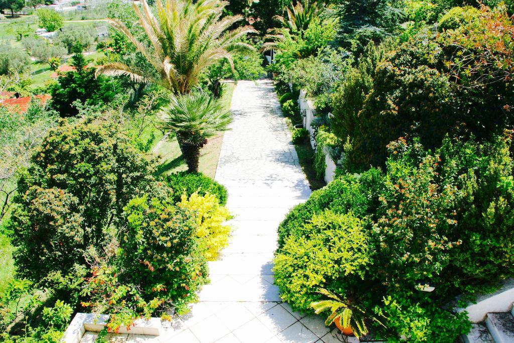 Villa Seaview Dreams Ormos Panagias Esterno foto