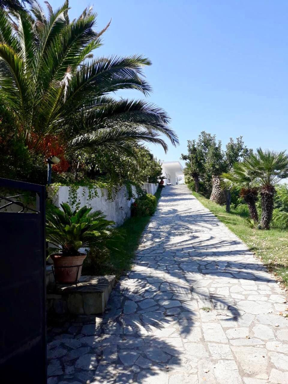 Villa Seaview Dreams Ormos Panagias Esterno foto